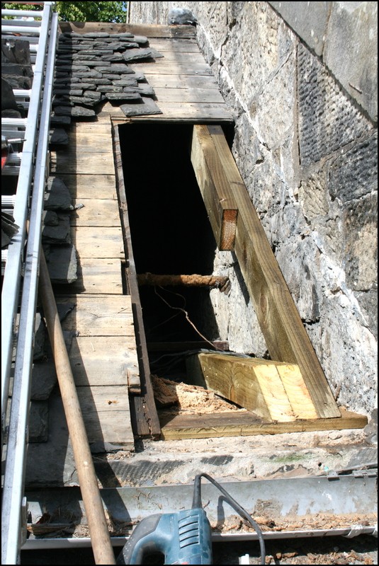 replaced roof joists